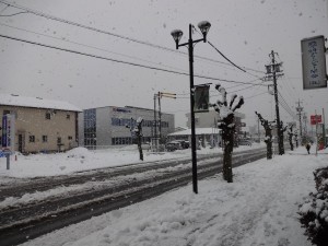 DSC01013