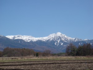DSC09536