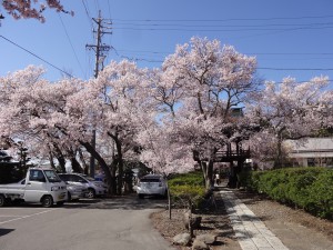 DSC02051