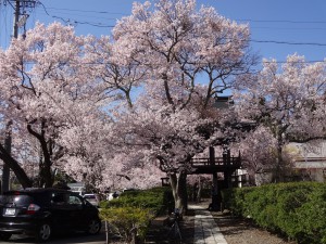 DSC02052