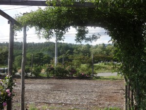 DSC02828
