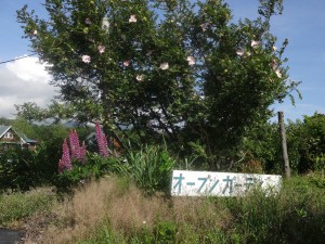 new_DSC02818