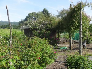 new_DSC02824