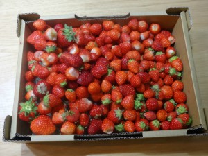 new_DSC02832