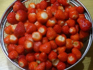 new_DSC02833